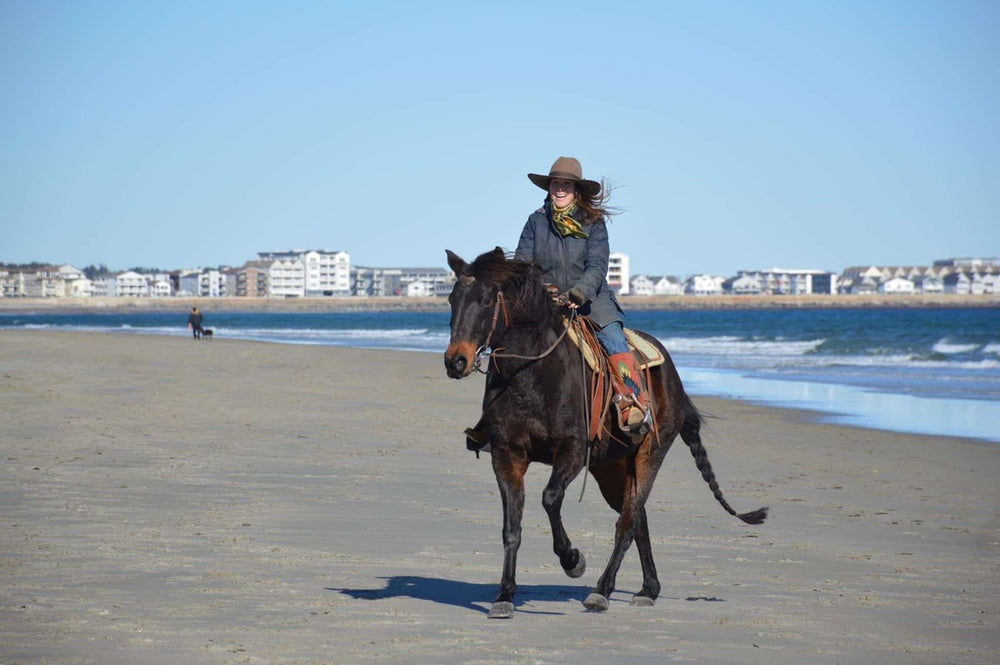 Beach Rider in Katy