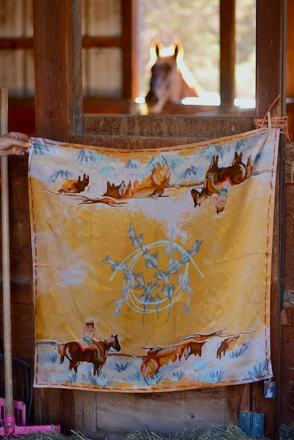 Longhorn Open Range: Large 100% Mulberry Silk 35x35 Cowgirl Wild Rag Western Scarf