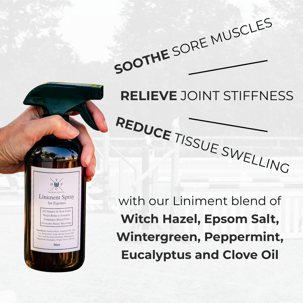Liniment Spray for Horses