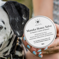 Manuka Honey Salve for Dogs, Horses & Humans