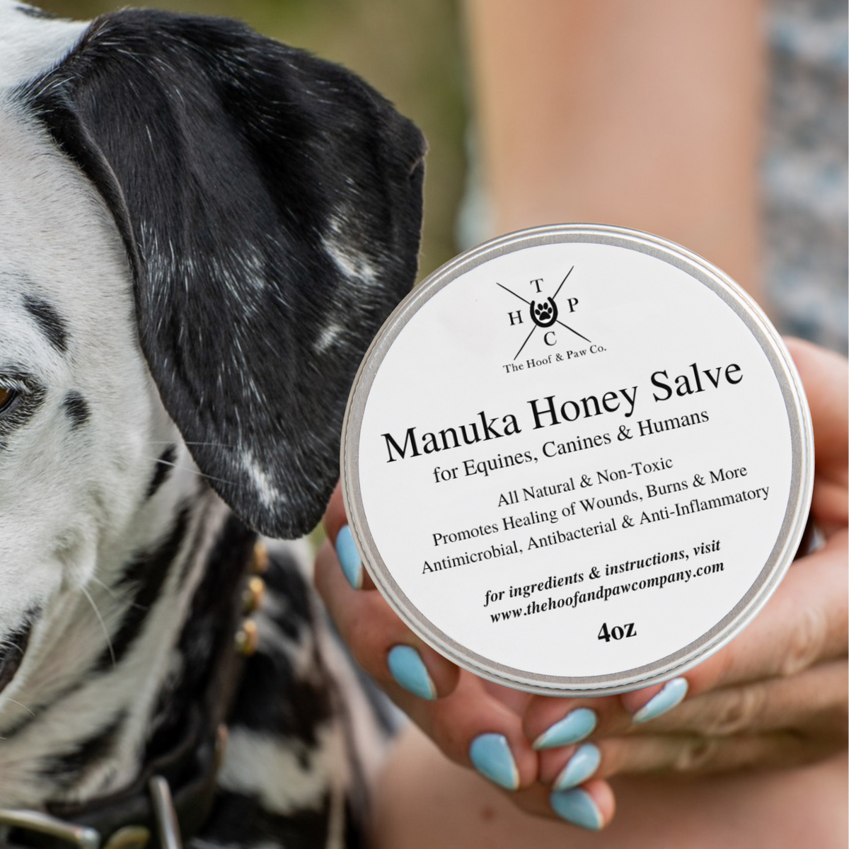 Manuka Honey Salve for Dogs, Horses & Humans