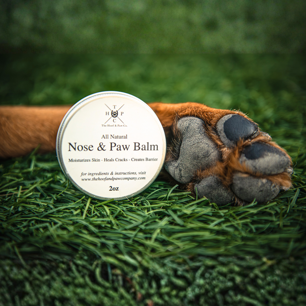 Nose & Paw Balm for Dogs - 2oz